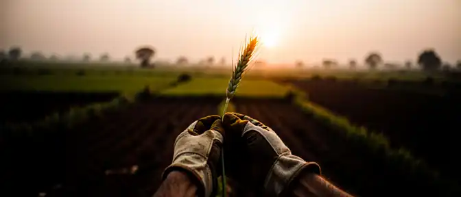 Обеспечение продовольственной безопасности Индии через поставки удобрений «ФосАгро
